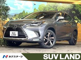 レクサス NX 300h バージョンL サンルーフ 10型ナビ全周囲カメラ 衝突軽減