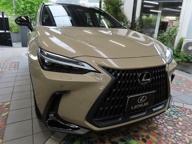 【特別仕様車 NX350 TwinScroll TURBO OVERTRAIL AWD.】公園でのピクニック、家族と過ごすキャンプ、雪道、砂漠、山道を自由に旅するオーバーランディング。多様なアウトドアライフとクルマの楽しさに寄り添う為に。