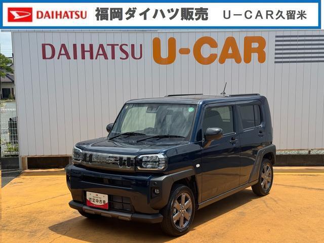 人気のタフト入りました