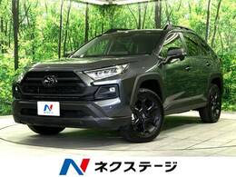 トヨタ RAV4 2.0 アドベンチャー オフロード パッケージII 4WD 