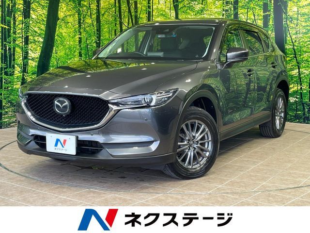 沖縄県内での販売・登録が条件※宮古島除く
