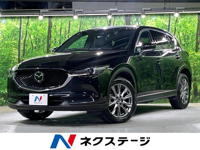 全周囲カメラ　BOSEサウンド　レーダークルーズ　禁煙車　電動リアゲート