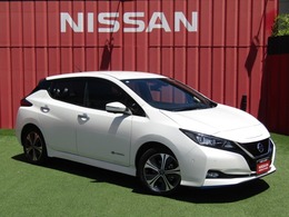 日産 リーフ e+ G 寒冷地　プロパイ　ドラレコ　BOSE　ETC
