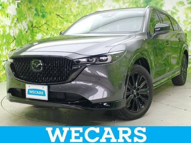 WECARS（ウィーカーズ）は全国250店舗展開！お客様が安心してカーライフをお楽しみいただけるよう社員一同心を込めてサポートいたします。