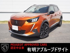 R5　プジョー　プジョー　e-2008
