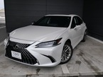 300h バージョンL