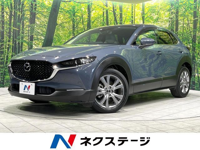 純正8.8型ナビ　全周囲カメラ　レーダークルーズ　衝突軽減システム