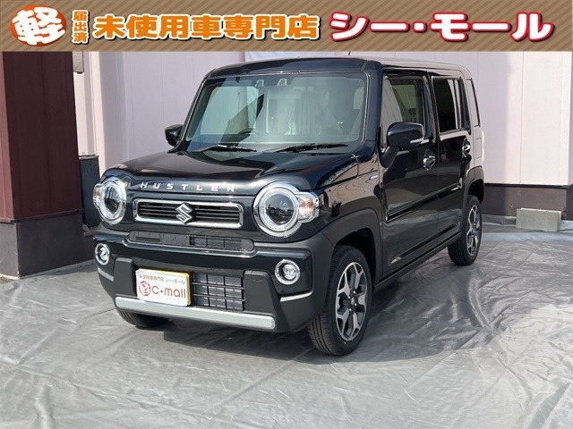 ☆★☆★ハスラー入庫しました！！このお車は北海道にお住まいで店頭にご来店頂ける方に限ります。☆★☆★