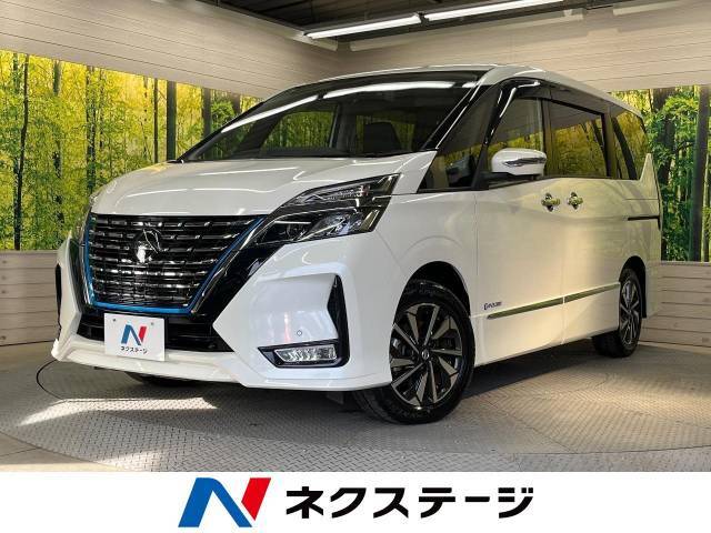 純正10型ナビ　衝突被害軽減装置　フリップダウンモニター　プロパイロット