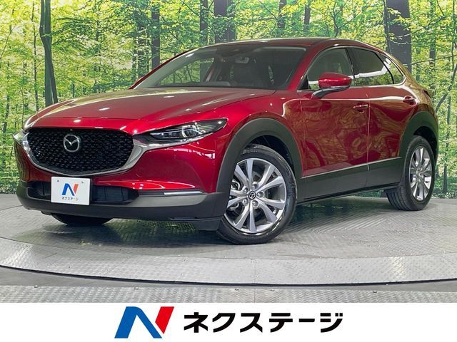 全周囲カメラ　衝突軽減ブレーキ　レーダークルーズ　禁煙車　電動リアゲート