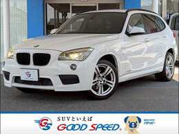 BMW X1 sドライブ 20i Mスポーツ 純正HDDナビ　バックカメラ　オートライト