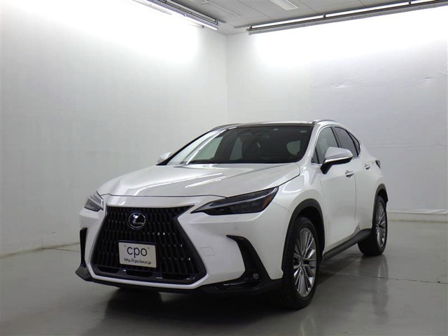 「NX250 VER-L」入荷いたしました。ボディーカラーは“ソニッククォーツ”です。