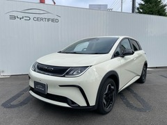 BYDドルフィン