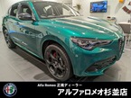 2.0 ターボ Q4 トリブート イタリアーノ 4WD