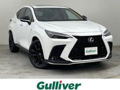 NX