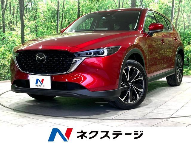 全周囲カメラ　衝突軽減　レーダークルーズ　禁煙車　電動リアゲート