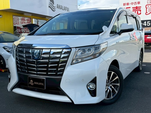 純正9インチナビ！後席モニター！パワーバックドア！レーダークルーズコントロール等のオプション付きです！自信の安心価格設定になっておりますのでお早めにお問い合わせ下さい！早い者勝ちの1台です！全国可能