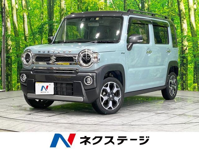 ナビ　バックカメラ　衝突軽減装置　レーダークルーズコントロール　禁煙車
