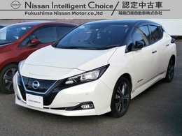 日産 リーフ X 10万台記念車 ナビ・プロパイロット搭載車