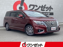 日産 エルグランド 2.5 250ハイウェイスターS 純正10インチナビ・純正12.1フリップダウン