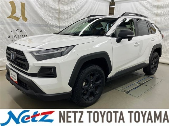 RAV4 adv HV