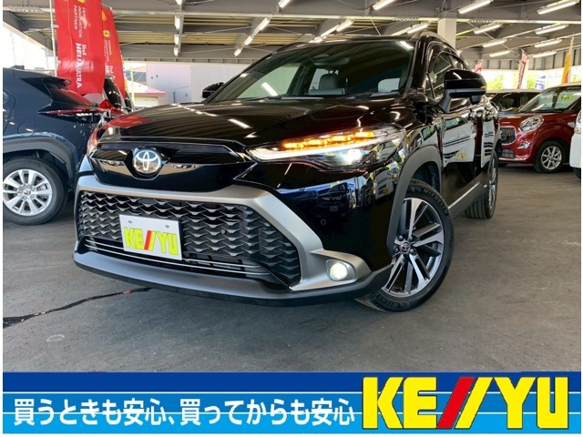 ご覧いただきありがとうございます。