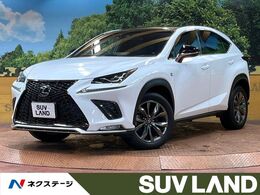 レクサス NX 300 Fスポーツ ガラスルーフ 全周囲カメラ 10型ナビ ETC
