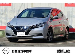 日産 リーフ X 12セグメント