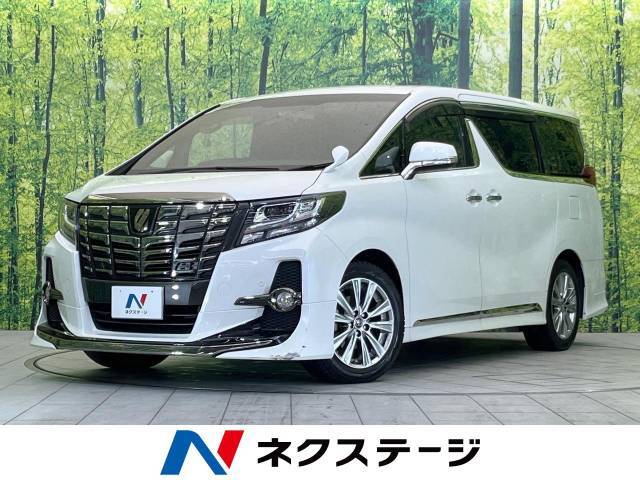 禁煙車　モデリスタエアロ　ALPINEフリップダウン　両側電動ドア
