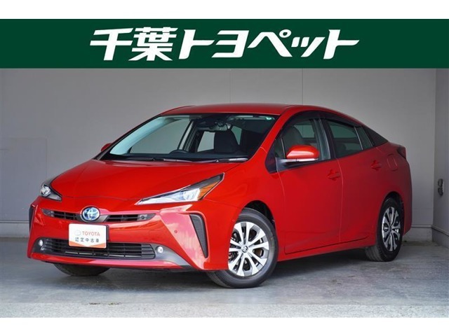 【メイン】　千葉・茨城・埼玉・東京・神奈川での登録、及びご来店いただける方への販売に限らせていただきます。