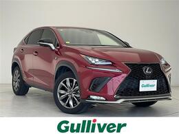 レクサス NX 300h Fスポーツ 純正ナビ 全方位カメラ ドラレコ BSM ETC