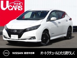 日産 リーフ e+ G プロパイロット NCナビ 内装エアリグレー