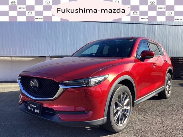 【見つめるたび、美しい表情に惹きつけられます。マツダ・CX-5】