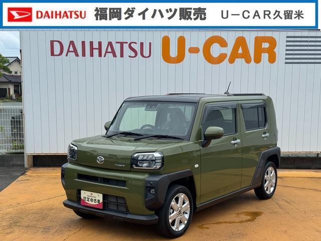 人気のタフト入りました