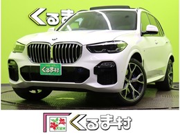 BMW X5 xドライブ 35d Mスポーツ ドライビング ダイナミクス パッケージ 4WD /フルセグナビ/全方位モニター/黒革Pシート