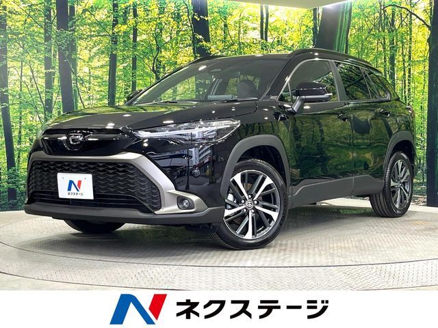 レーダークルーズ　電動リアゲート　ハーフレザーシート　パワーシート