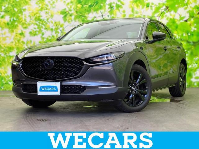 WECARS（ウィーカーズ）は全国250店舗展開！お客様が安心してカーライフをお楽しみいただけるよう社員一同心を込めてサポートいたします。