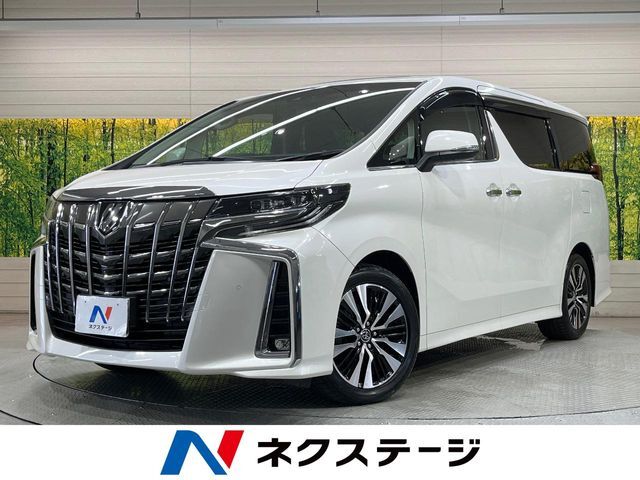 純正9インチSDナビ　サンルーフ　フリップダウンモニター