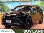 2.5 ハイブリッド Z ナイトシェード