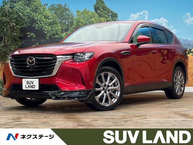 パノラマサンルーフ　ディーゼル車　スマートブレーキサポート　全周囲カメラ