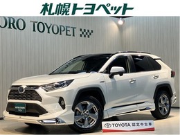 トヨタ RAV4 2.5 ハイブリッド G E-Four 4WD スマートキー クルコン DVD再生 TSS LED