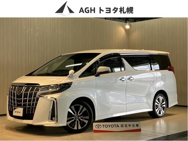 オールシーズン大活躍で家族にうれしいミニバン！