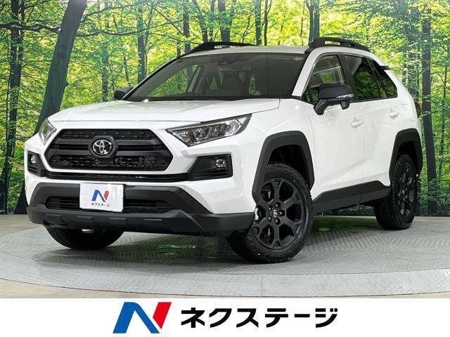 登録済未使用車　純正10型ナビ　バックカメラ　ルーフレール