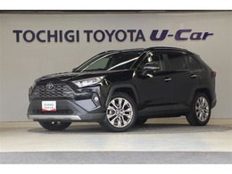 トヨタ RAV4 2.0 G Zパッケージ 4WD ナビ・バックカメラ　ETC　衝突被害軽減