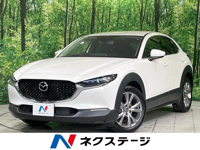 純正10.25型ナビ　衝突軽減装置　レーダークルーズ　電動リアゲート