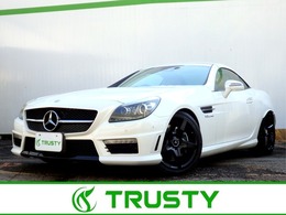 メルセデス・ベンツ SLKクラス SLK350 ブルーエフィシェンシー SLK55仕様 AMG18インチAW AMGフルエアロ ト