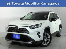 トヨタ RAV4 2.0 G Zパッケージ 4WD ナビ　バックカメラ　電子インナーミラー