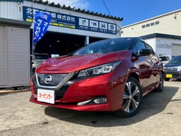 日産 リーフ G プロパイロット　ブラインドスポットモニタ