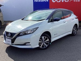 日産 リーフ e+ X プロパイロットアラウンドカメラ