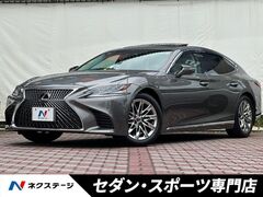 LS